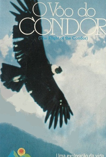 O Vôo do Condor - Poster / Capa / Cartaz - Oficial 1