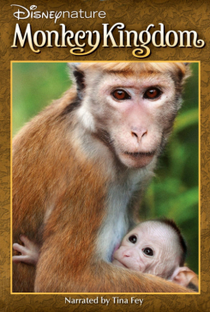 O Reino dos Primatas - Poster / Capa / Cartaz - Oficial 5