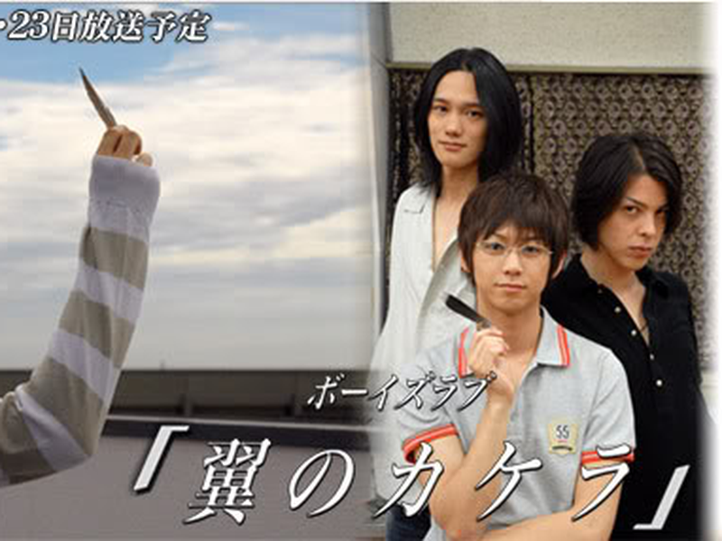 Foto 1 de Tsubasa no Kakera