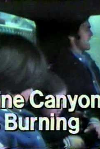 Poster 1 de Filme Floresta em Chamas (1977)