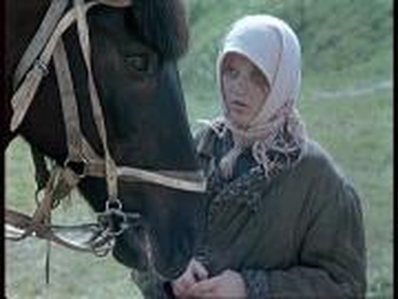 Foto 27 de Shine, Shine, My Star 