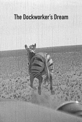 Poster 1 de Curta O Sonho do Estivador (2016)