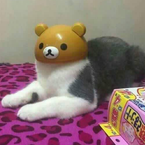 Foto de perfil de Ezzyns