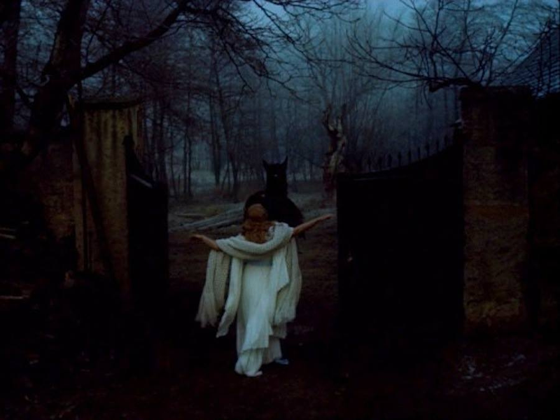 Foto 1 de A Bela e a Fera