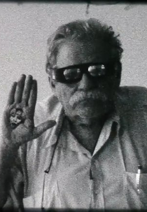 O Cinema Segundo Luiz Rô (O Cinema Segundo Luiz Rô)