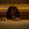 Produtor Sam Raimi fala sobre o terror de “O Grito”