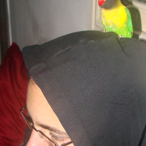 Foto de perfil de Leandro