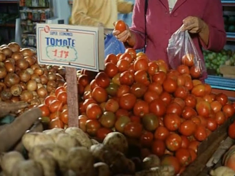 Foto 1 de Ilha das Flores