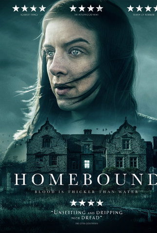 Poster 3 de Filme A Madrasta (2021)