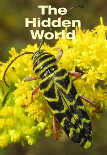 The Hidden World (The Hidden World)