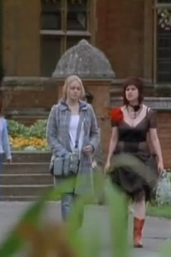 Poster de Episódio The Release (2004)