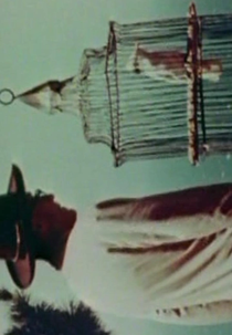 William Buys a Parrot (William Buys a Parrot)