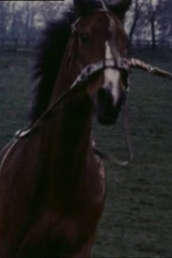 Poster de Episódio Shadow (1971)