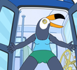Bird Mechanics