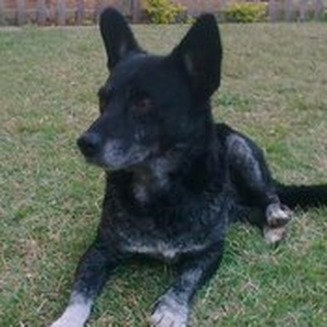Foto de perfil de Cristine Martin