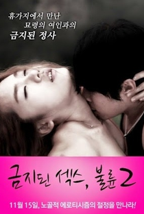 Forbidden Sex 2: Affair - Poster / Capa / Cartaz - Oficial 1