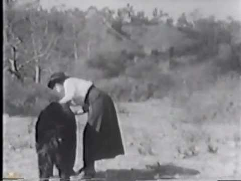 Foto 1 de The Brave Hunter