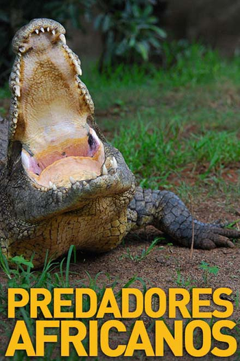 Poster de Filme Predadores Africanos (2011)