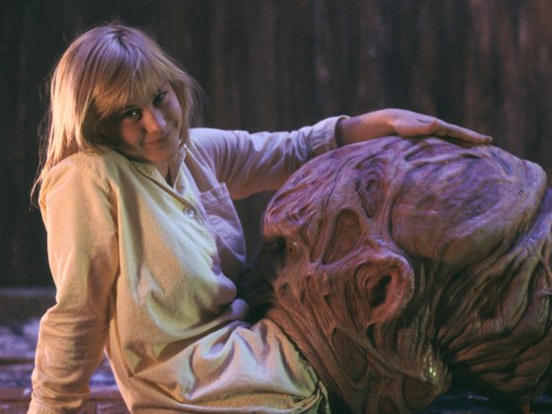 Foto 13 de A Hora do Pesadelo 3: Os Guerreiros dos Sonhos