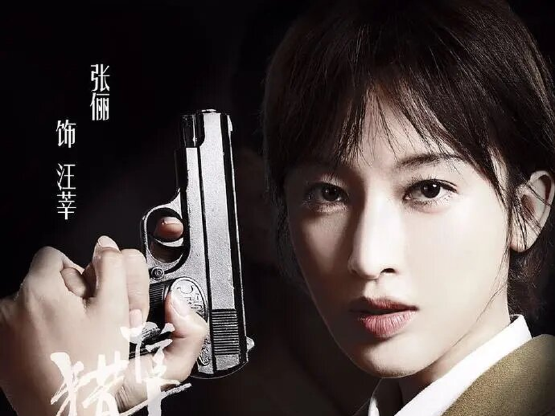 Foto 4 de Saker Falco