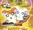 Hamtaro: The Captive Princess