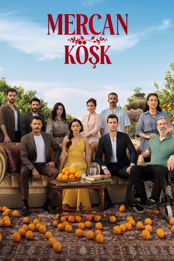 Poster de Franquia Mercan Köşk (None)