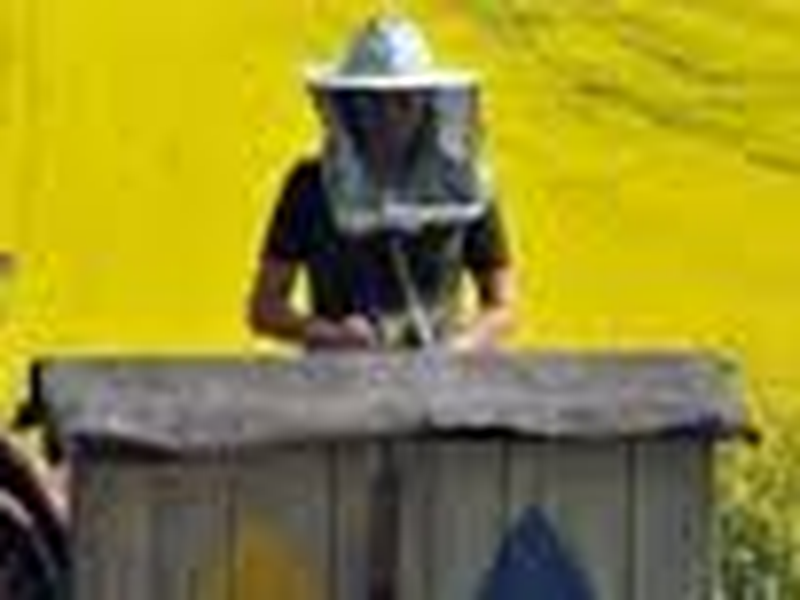 Foto 9 de Happy Aphonya