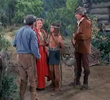 Hannah Comes Home