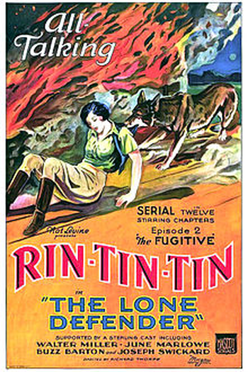 Poster de Filme The Lone Defender (1930)