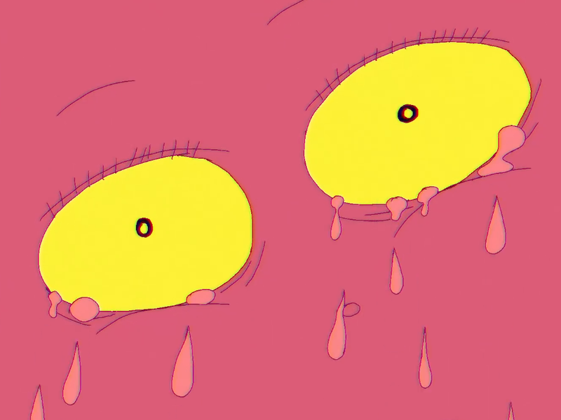 Foto 4 de Bunnyrabbit