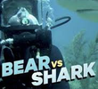 Bear Grylls vs. Tubarões