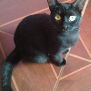 Foto de perfil de valll