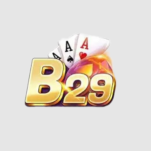 Foto de perfil de B29