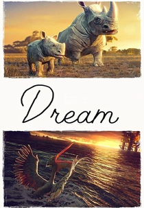 Dream (Dream)