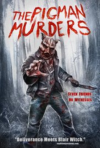 Poster 1 de Filme Somebodys There (2015)