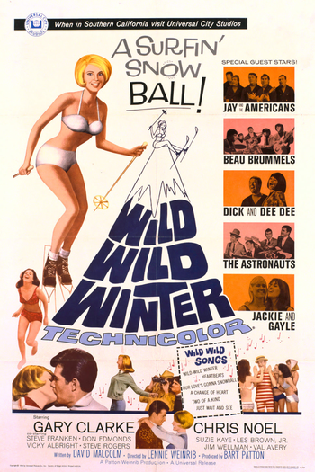 Poster de Filme Wild Wild Winter (1966)