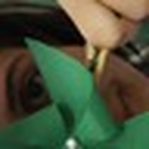 Foto de perfil de Isadora Tonet