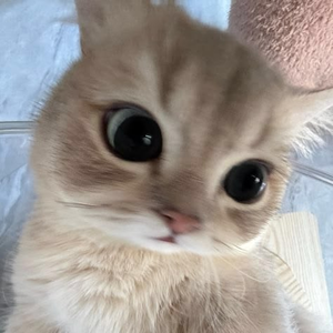 Foto de perfil de Bruba
