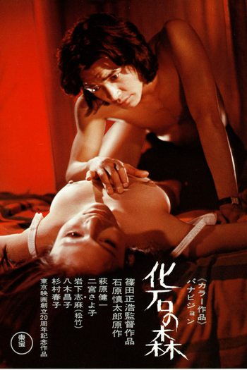 Poster de Filme A Floresta Petrificada (1973)