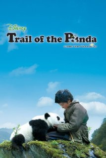 Na trilha do panda - Poster / Capa / Cartaz - Oficial 1