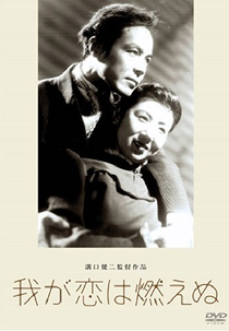 Chama de Meu Amor (Waga koi wa moenu)