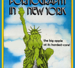 Pornography in New York