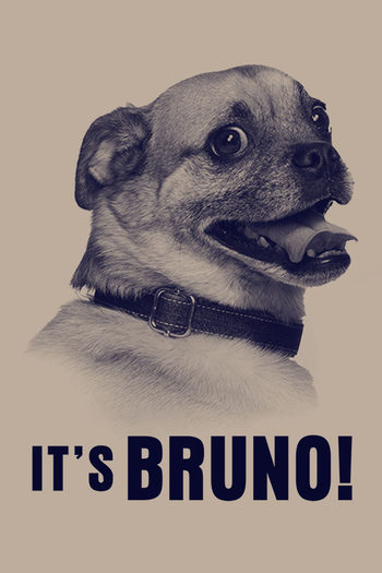 Poster de Franquia It's Bruno! (2019)