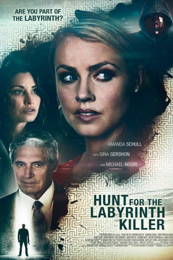 Poster de Filme O Assassino do Labirinto (2013)