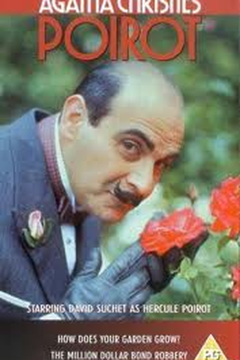 Poster de Filme Que Bonito é o seu Jardim (1991)