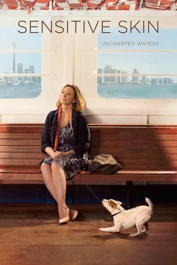 Poster de Série Sensitive Skin (2ª Temporada) (2016)