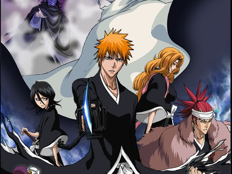 Foto 2 de Bleach (15ª Temporada)