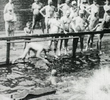 Žofín Swimming Bath