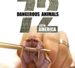 72 Animais Perigosos: América Latina