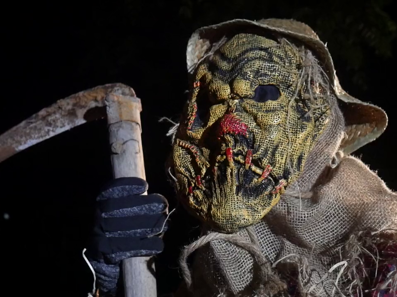 Foto 9 de The Stalking